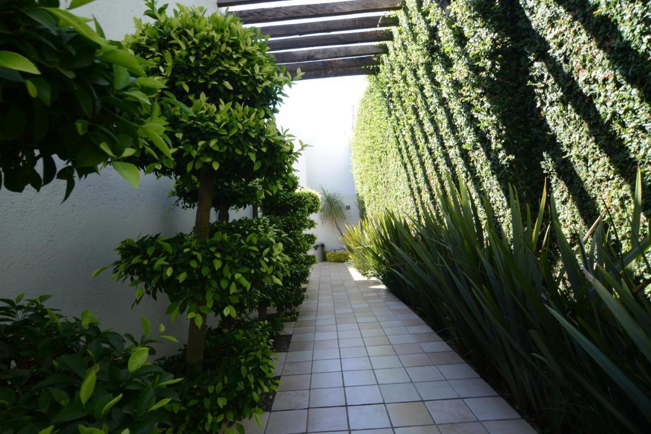 Suites La Fe Oaxaca المظهر الخارجي الصورة